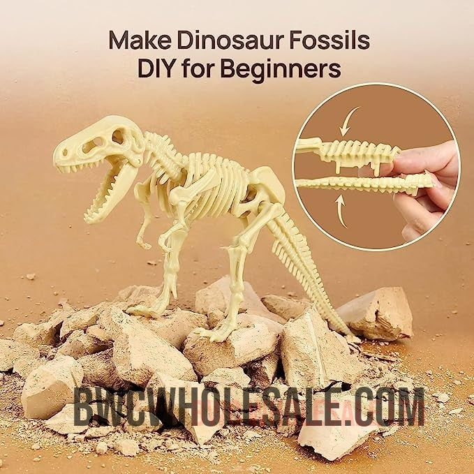 Dinosaur Dig Kit, Dinosaur Fossil Digging Kit for Kids Dinosaur Bones Excavation Kit Dinosaur Toys