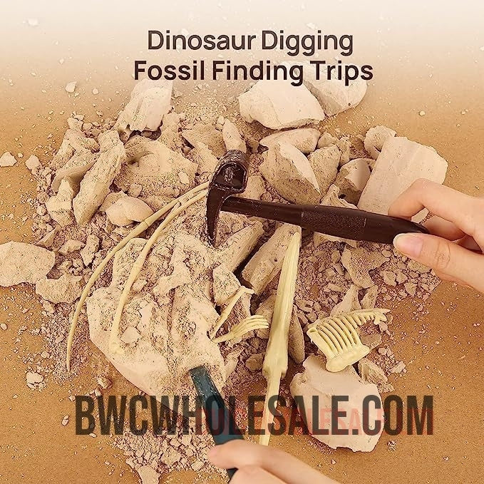 Dinosaur Dig Kit, Dinosaur Fossil Digging Kit for Kids Dinosaur Bones Excavation Kit Dinosaur Toys