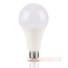 High Quality Oledn 20W LED Bulb Warm Cool White Daylight